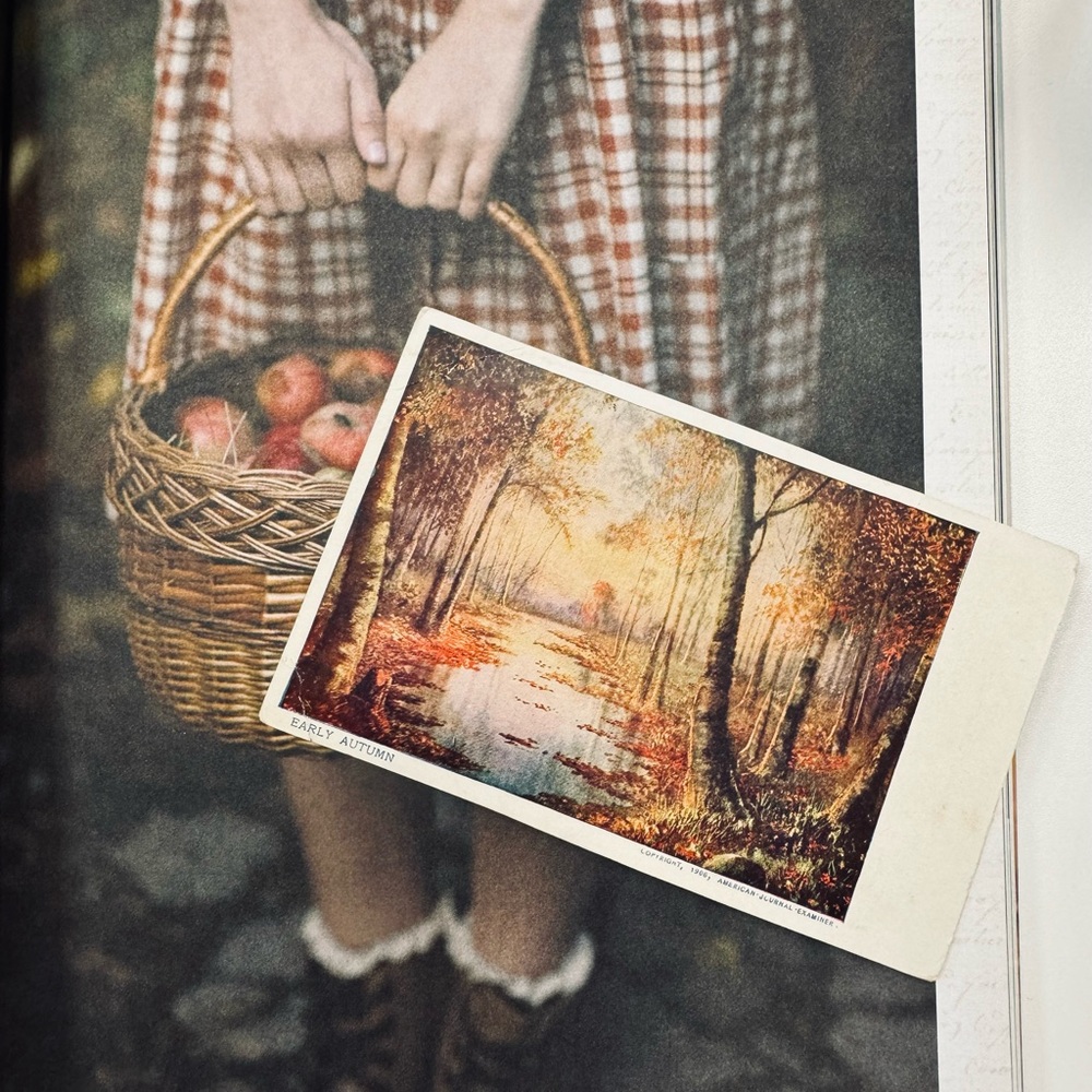 🍎 Back to Chic here at WMAC 🍎